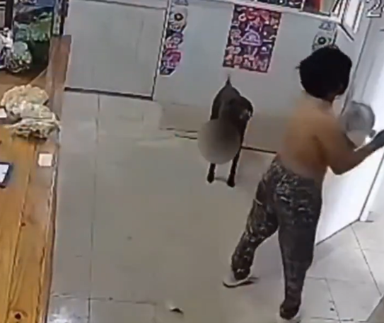 VIDEO: quiso robar y terminó desnuda en plena luz del día