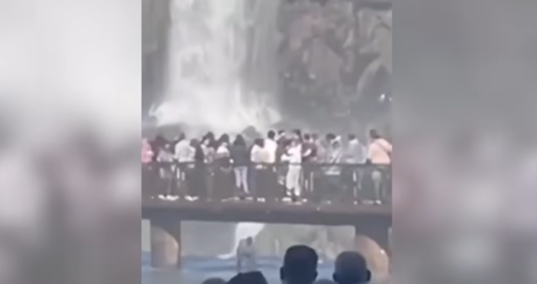 VIDEO: se arrojó a las Cataratas del Iguazú para recuperar su celular y fue expulsado del parque