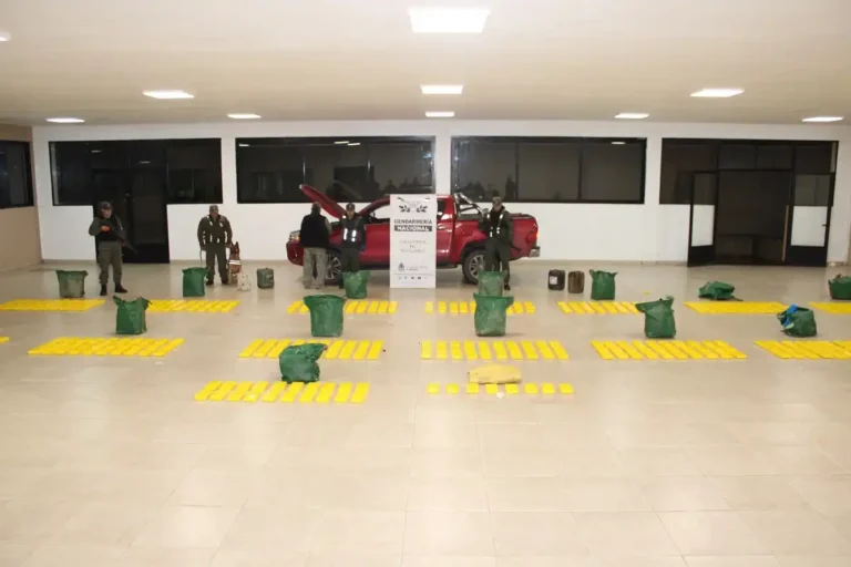 Casi 500 kilos: Gendarmería decomisó en Tucumán el segundo mayor cargamento de cocaína de la historia provincial