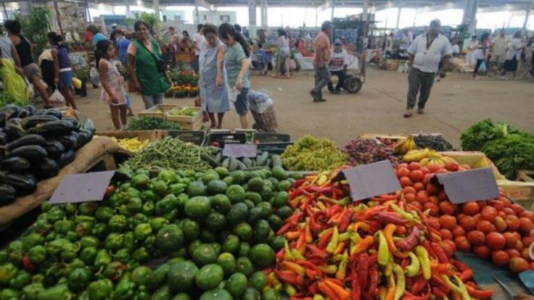 Leve repunte en ventas y precios estables en Mercofrut en medio de desafíos climáticos en Tucumán