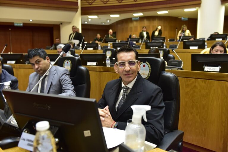 Fuerte polémica por el proyecto de Vargas Aignasse para regular publicaciones en las redes sociales