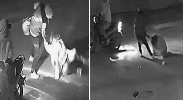 Brutal ataque a una estudiante: cayeron los dos delincuentes que la golpearon para robarle la mochila
