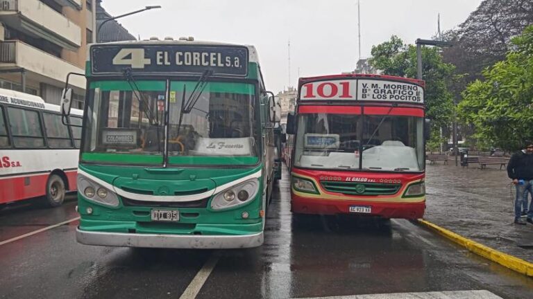 Semifinal del Mundial: el transporte público de Tucumán reducirá la frecuencia de colectivos durante el partido contra Inglaterra