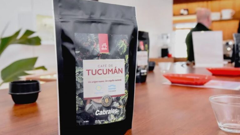 Café tucumano de exportación: avanza un acuerdo público-privado para producir el primer grano de origen en la provincia