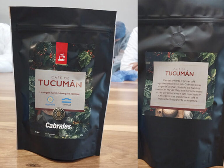 Del norte al mundo: una revista internacional destaca el potencial de Tucumán para producir café