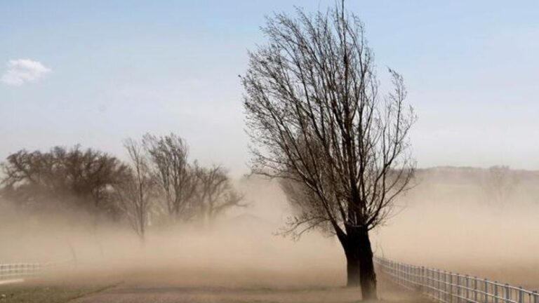 Alerta amarilla por viento Zonda: los Valles Calchaquíes esperan ráfagas de más de 70 km/h