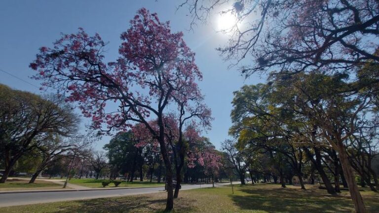 Tiempo en Tucumán: sube la temperatura y la máxima alcanzará los 24 grados este jueves