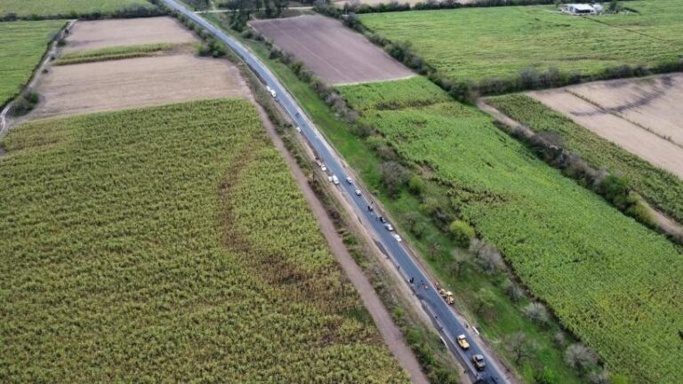 Obras en el interior: la repavimentación de la Ruta 323 alcanza un 40% de avance y estará lista en octubre
