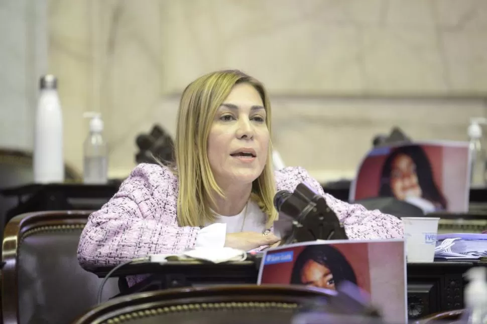 Biocombustibles: Beatriz Ávila exigió una definición en el Senado y advirtió que “no podemos permitir que se