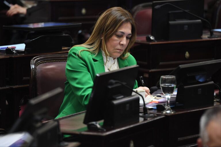 Senado nacional: mientras el oficialismo busca cerrar acuerdos, las senadoras tucumanas reclaman una agenda propia