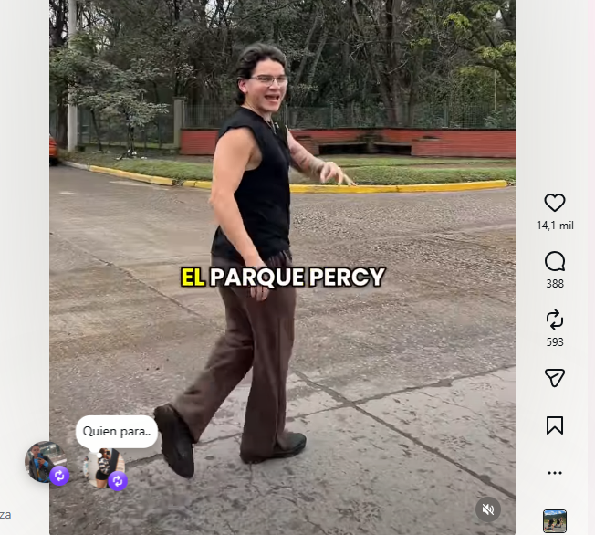 El pulmón verde en el corazón de Yerba Buena: El Parque Percy Hill volvió a ser tendencia en las redes - El