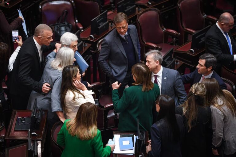 Sin el voto de Beatriz Ávila, el Senado aprobó un proyecto recortado de Ley de Propiedad Privada