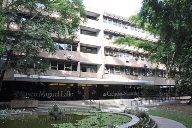 Procesaron a cuatro directivos de la Fundación Miguel Lillo por presuntas designaciones irregulares