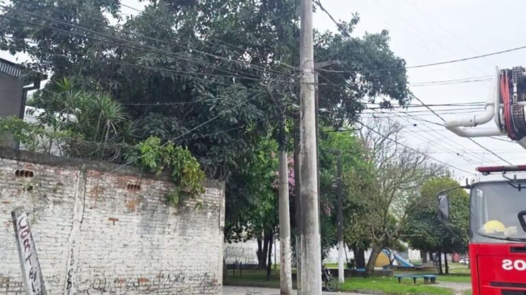 Conmoción en la Capital: un hombre murió electrocutado al intentar cosechar paltas