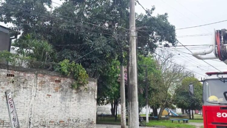 Conmoción en la Capital: un hombre murió electrocutado al intentar cosechar paltas - El Federalista