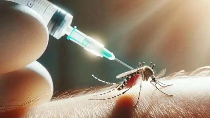 Tucumán busca anticiparse al chikungunya y gestiona una vacuna antes de la próxima temporada - El Federalista