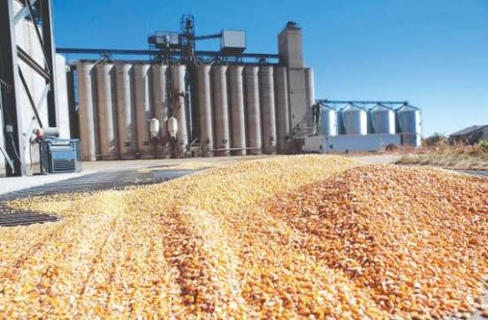 Sector molinero: la actividad se mantiene estable y los sueldos básicos van de $1,7 a $2,4 millones - El