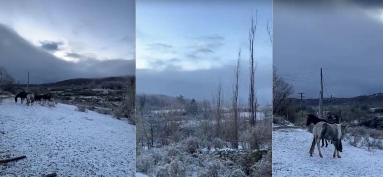 La nieve cubrió los cerros de Tafí del Valle y el hielo obligó a cortar la ruta 307