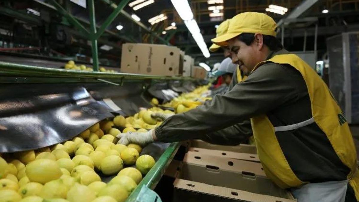 Tucumán rozó los US$1.000 millones en exportaciones durante 2025 y amplió su presencia en el Mundo - El