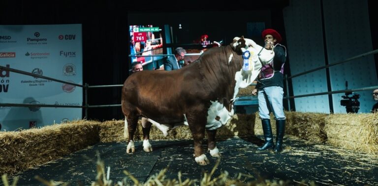 Un toro Braford puso a Tucumán en lo más alto de Palermo y se quedó con el Gran Campeonato