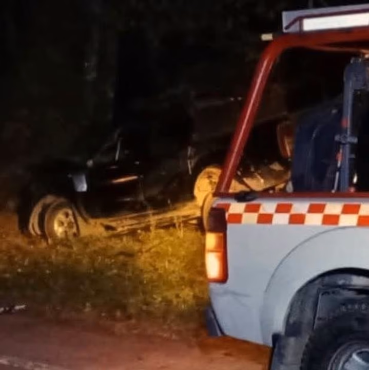 Murió un hombre tras despistar con su camioneta y chocar contra un árbol en la ruta 307 - El Federalista