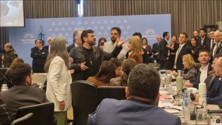 Huesen y Grabois casi terminan a la piñas en el Congreso (Video)