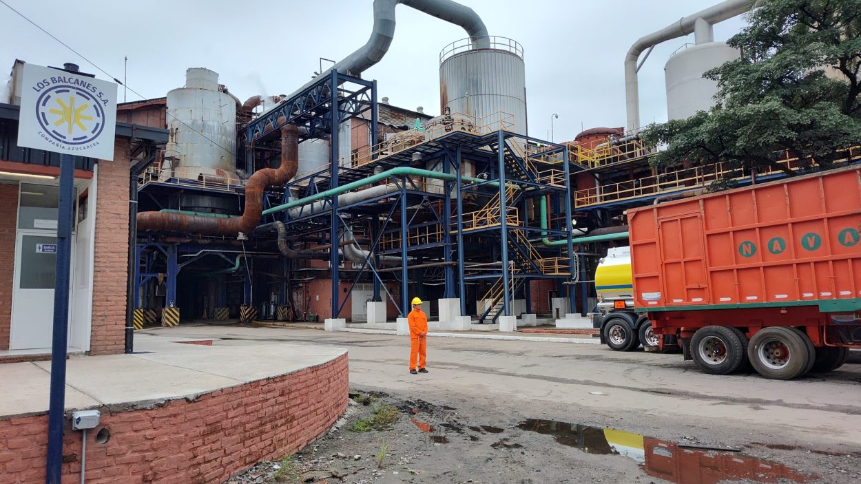 Biocombustibles: el Norte Grande presiona al Senado y Tucumán espera una definición clave para el bioetanol