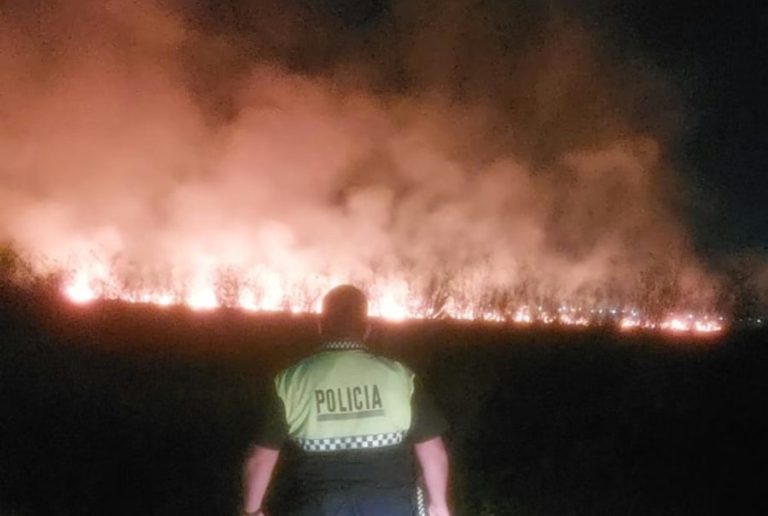 Incendio en Lastenia: bomberos controlaron las llamas antes de que llegaran a una zona urbana