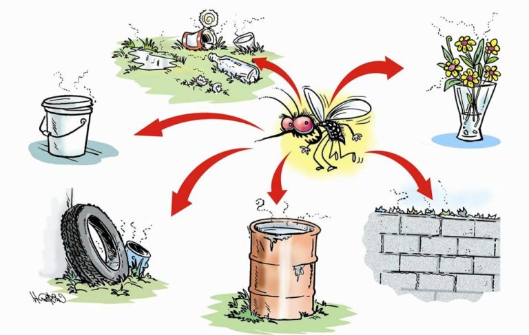 Alerta del Siprosa por el fenómeno de “El Niño”: prevén que las altas temperaturas y lluvias adelantarán la temporada de dengue en Tucumán