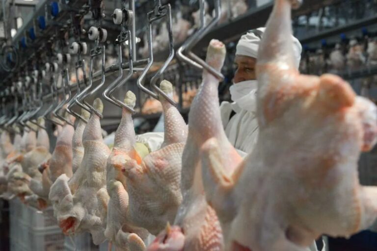El pollo desplazó a la carne vacuna y alertan que el 80% del consumo en Tucumán proviene de otras provincias