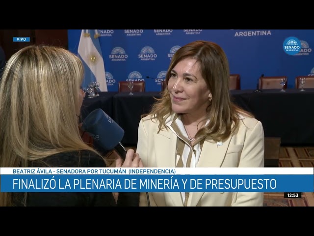 Beatriz Ávila celebró el dictamen sobre biocombustibles: “Tucumán podría establecer un corte del 18% o