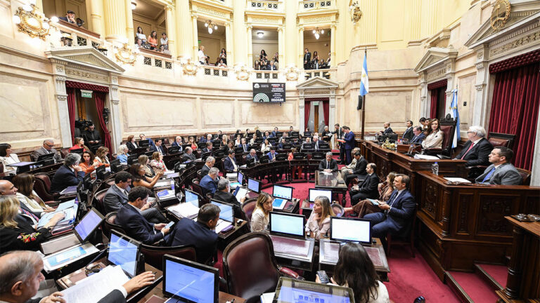 El Senado frenó el debate por los biocombustibles y habrá que seguir esperando por una ley clave para el sector azucarero