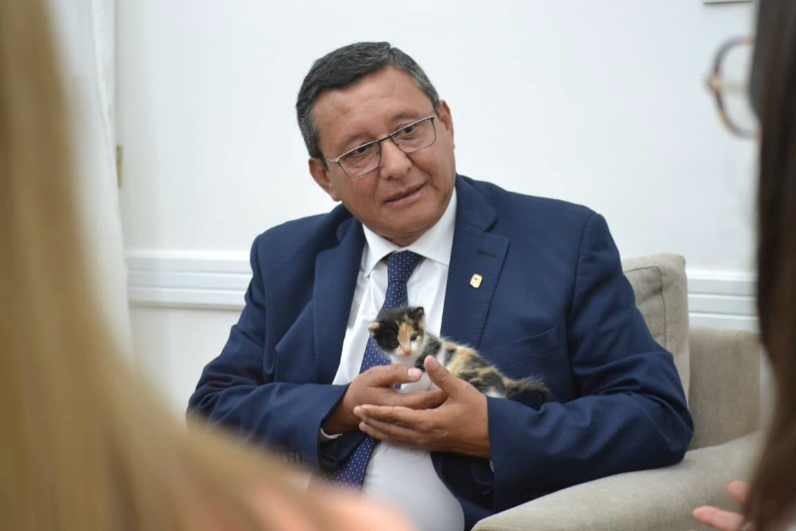 Monteros recibió a Vida, la gatita baleada en Tafí Viejo - El Federalista