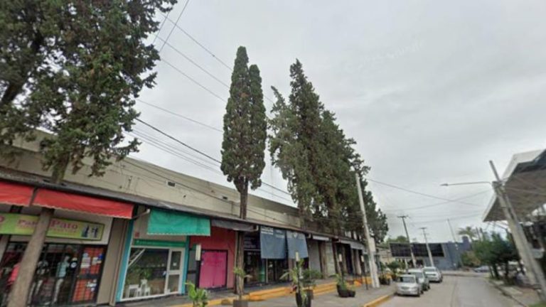 Polémica en Yerba Buena por la tala de pinos históricos en la zona del Shopping Viejo