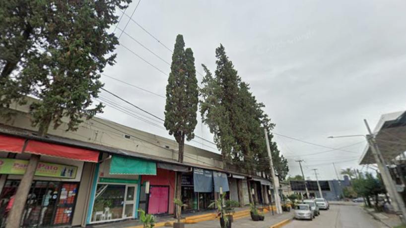 Polémica en Yerba Buena por la tala de pinos históricos en la zona del Shopping Viejo - El Federalista