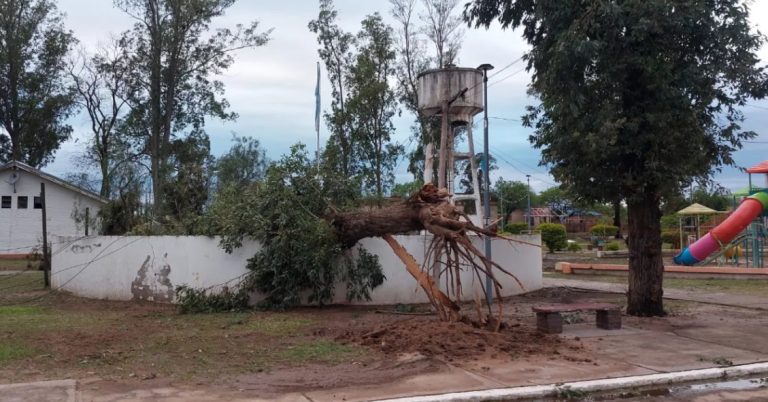 Taco Ralo suspendió las clases y sigue sin luz después del granizo