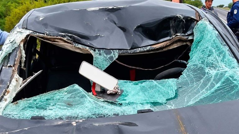 Dos tucumanos internados en el Padilla tras chocar contra una vaca en la Ruta 34