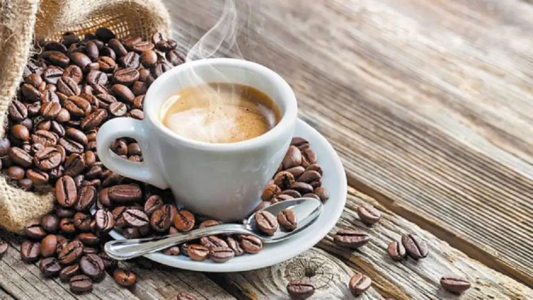 Tucumán busca convertirse en una nueva potencia cafetera con proyección internacional